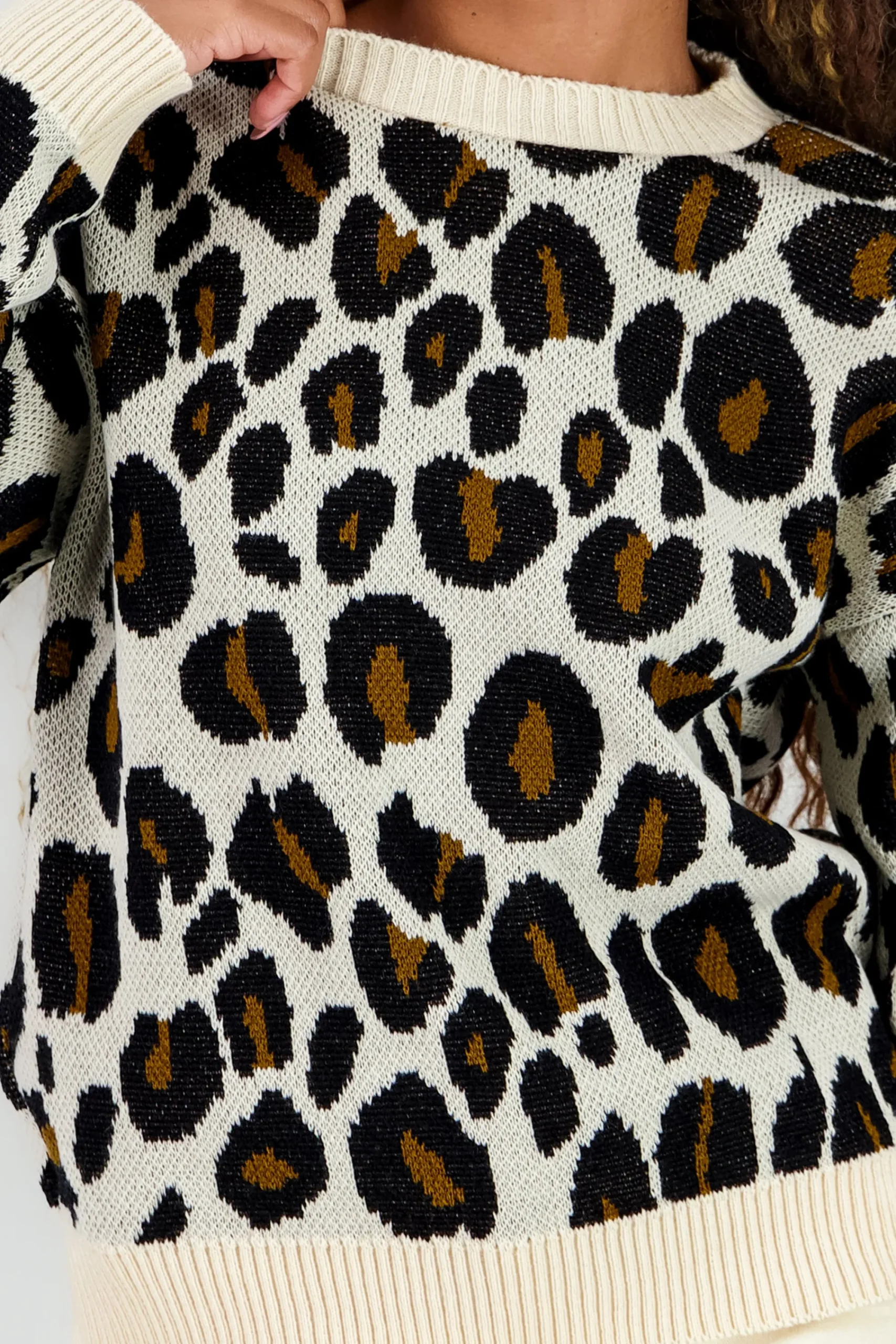Shasa Animal Print Sweater