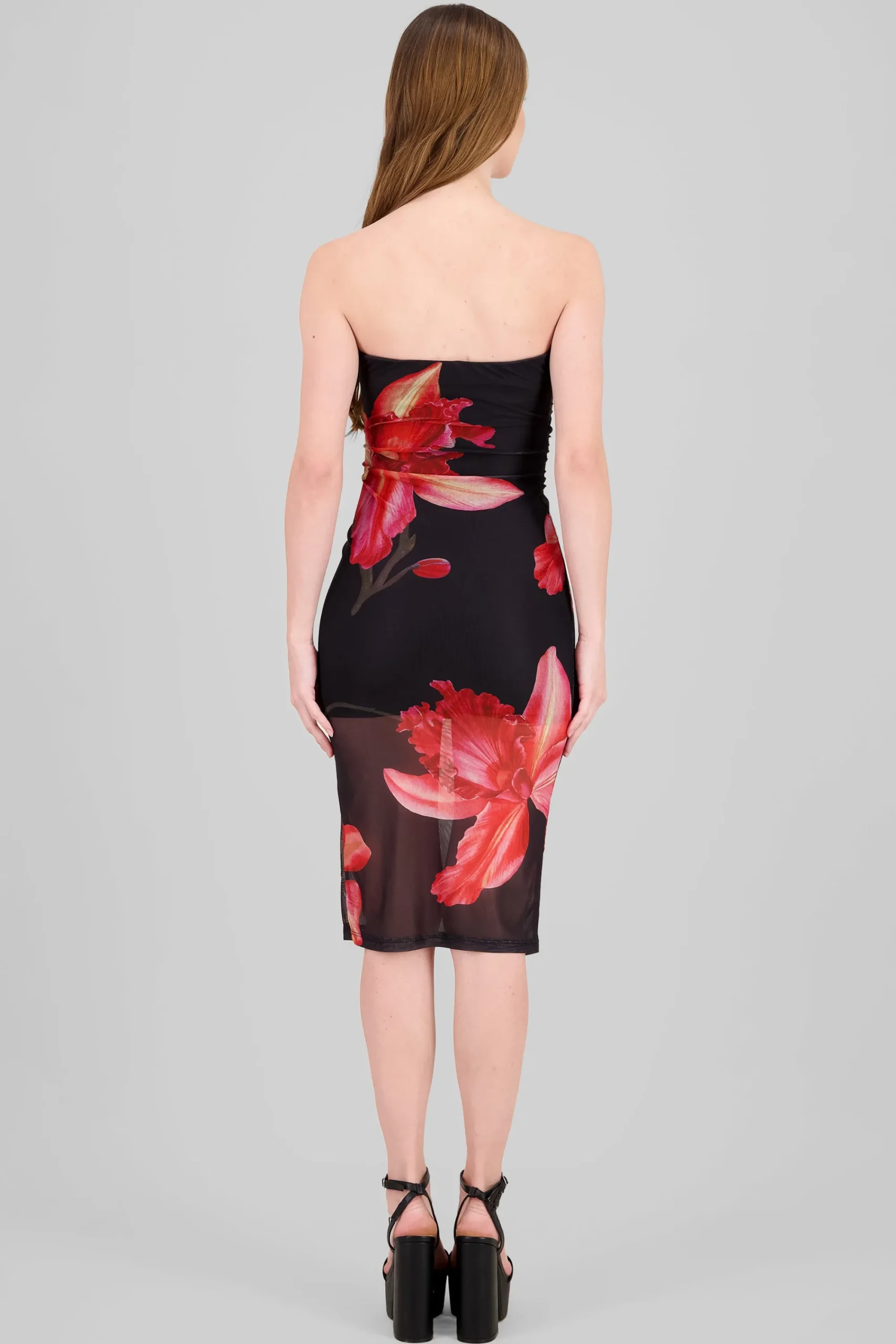 Shasa Floral Print Mesh Dress