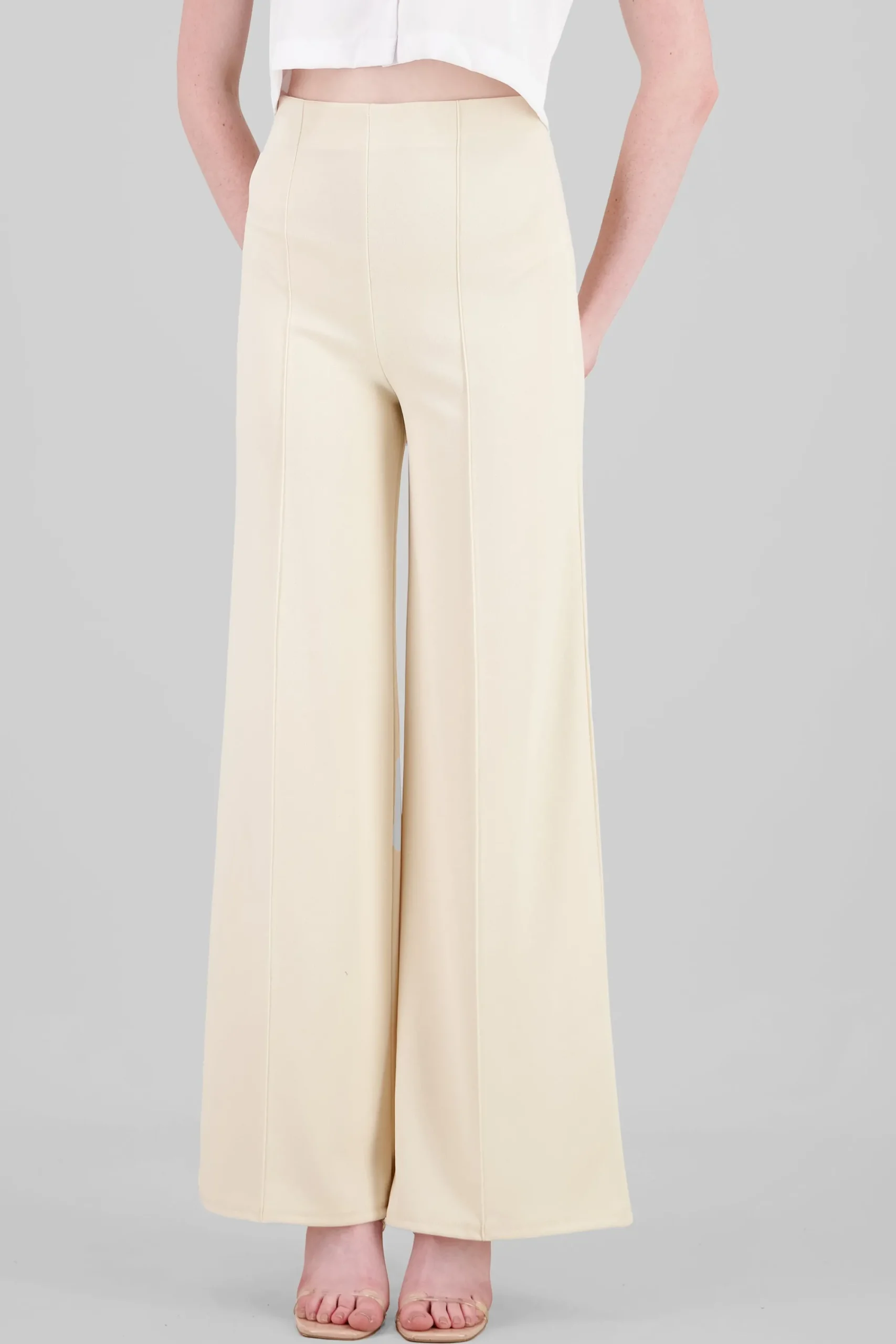 Shasa High Waist Wide Leg Pant