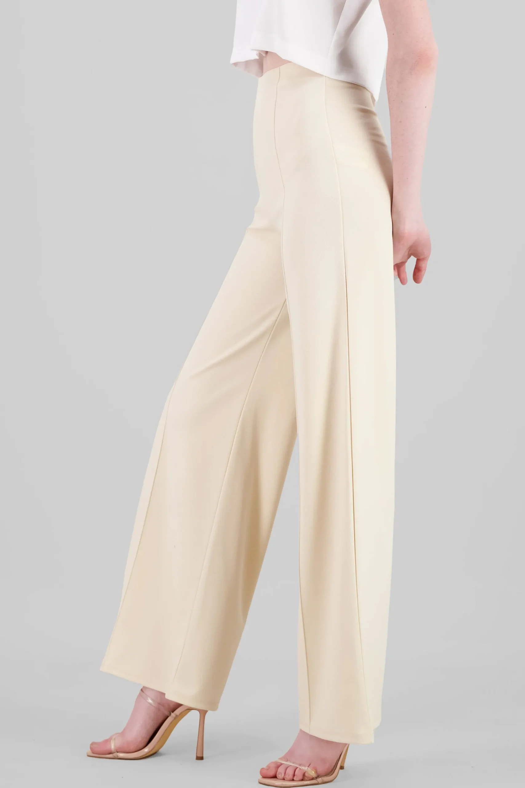 Shasa High Waist Wide Leg Pant