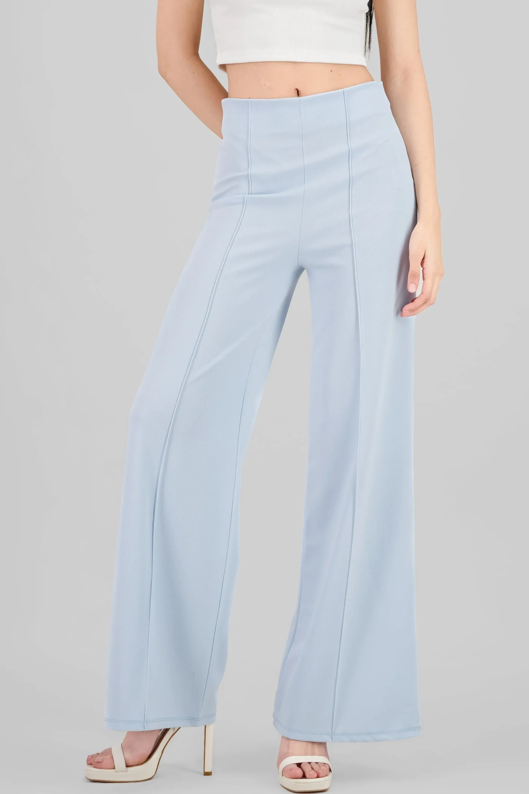 Shasa High Waist Wide Leg Pant