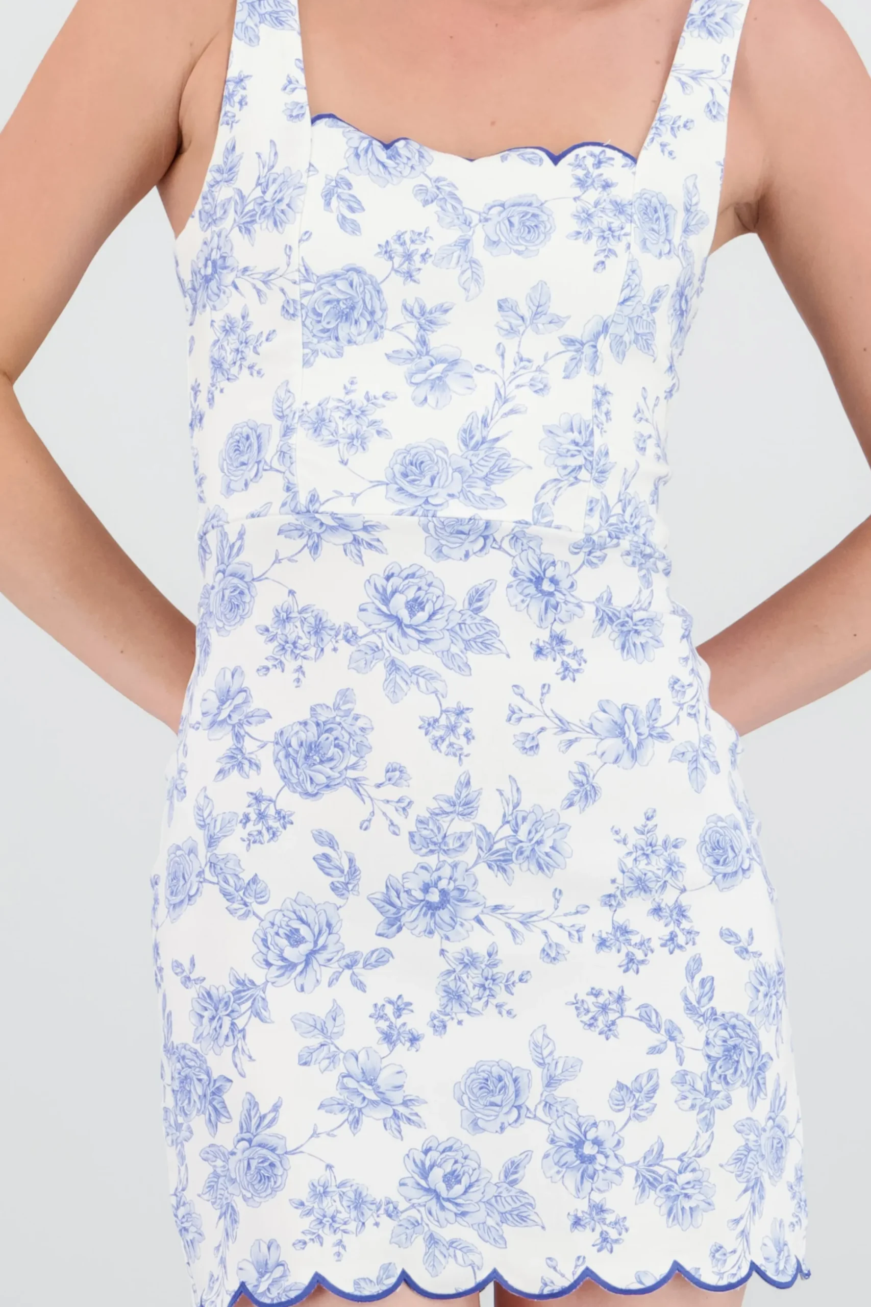 Shasa Printed Mini Dress