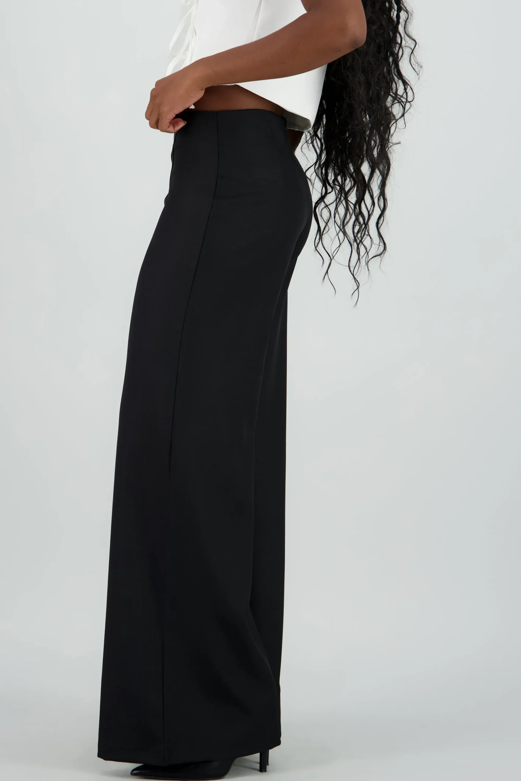 Shasa Seam Detail Wide Leg Pants