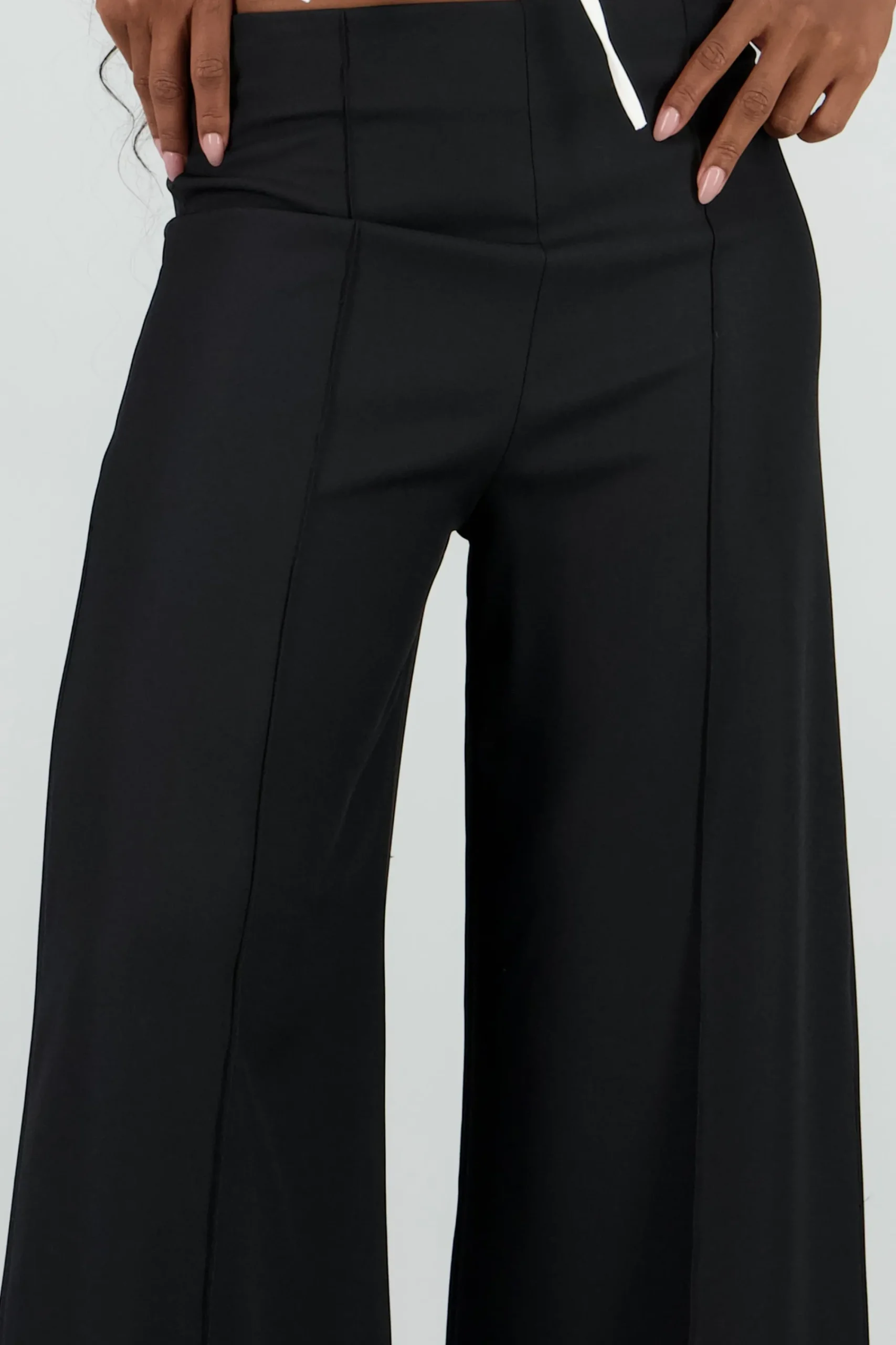 Shasa Seam Detail Wide Leg Pants