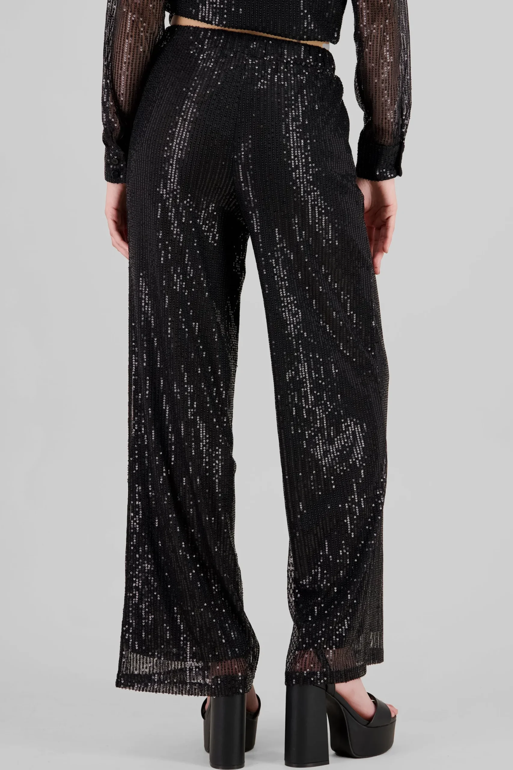 Shasa Sparkly Wide Leg Pants