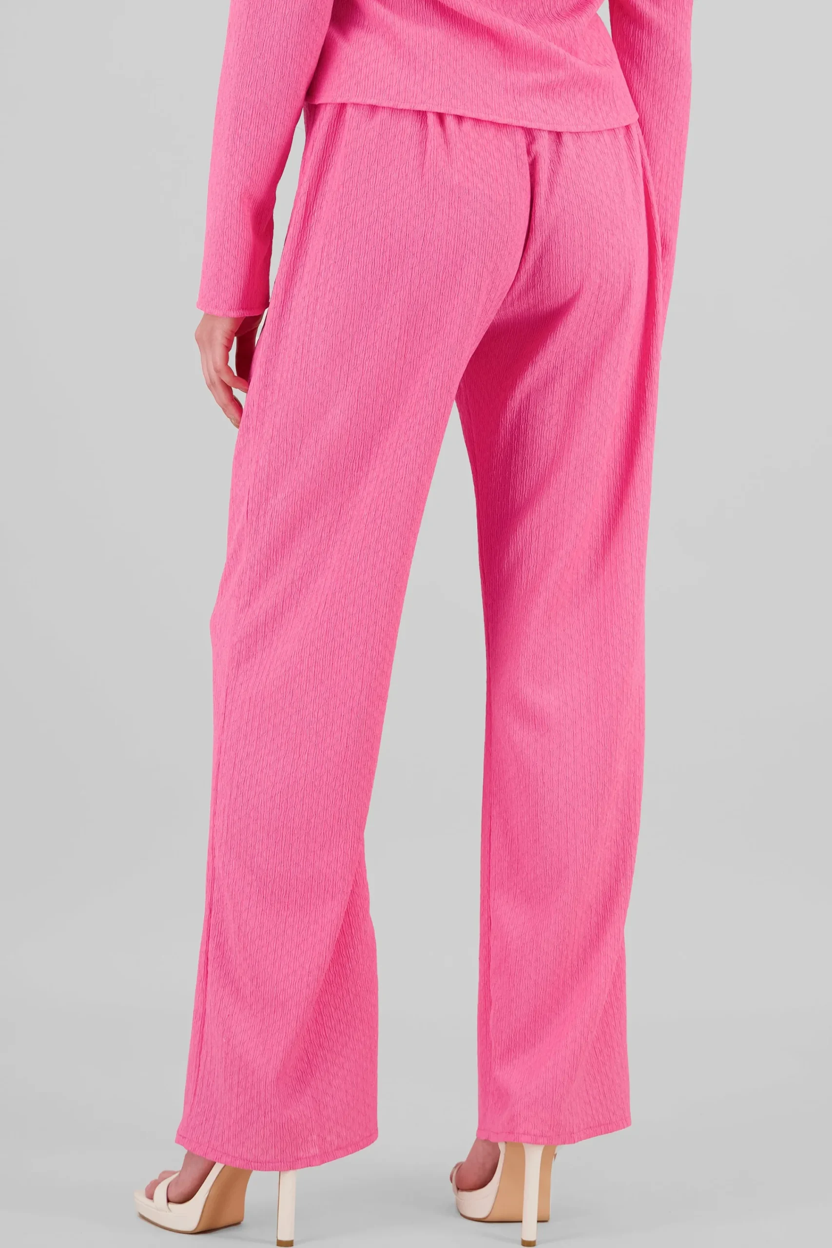 Shasa Textured Elastic Pants