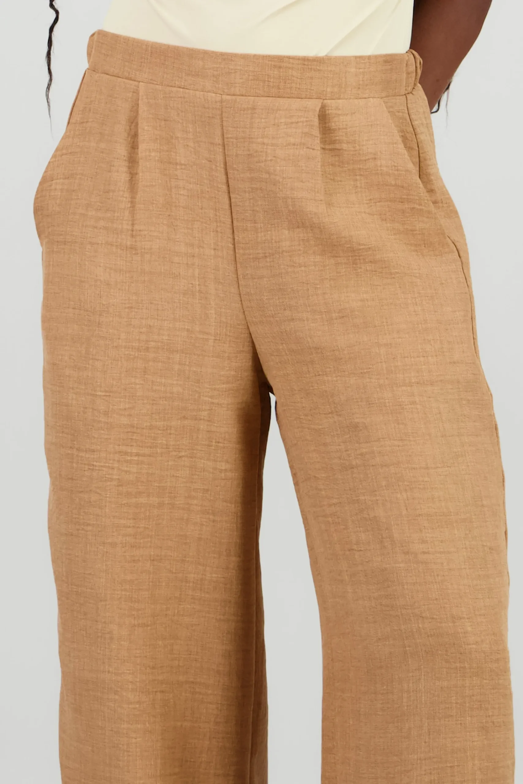 Shasa Wide Leg Pants with Pleats