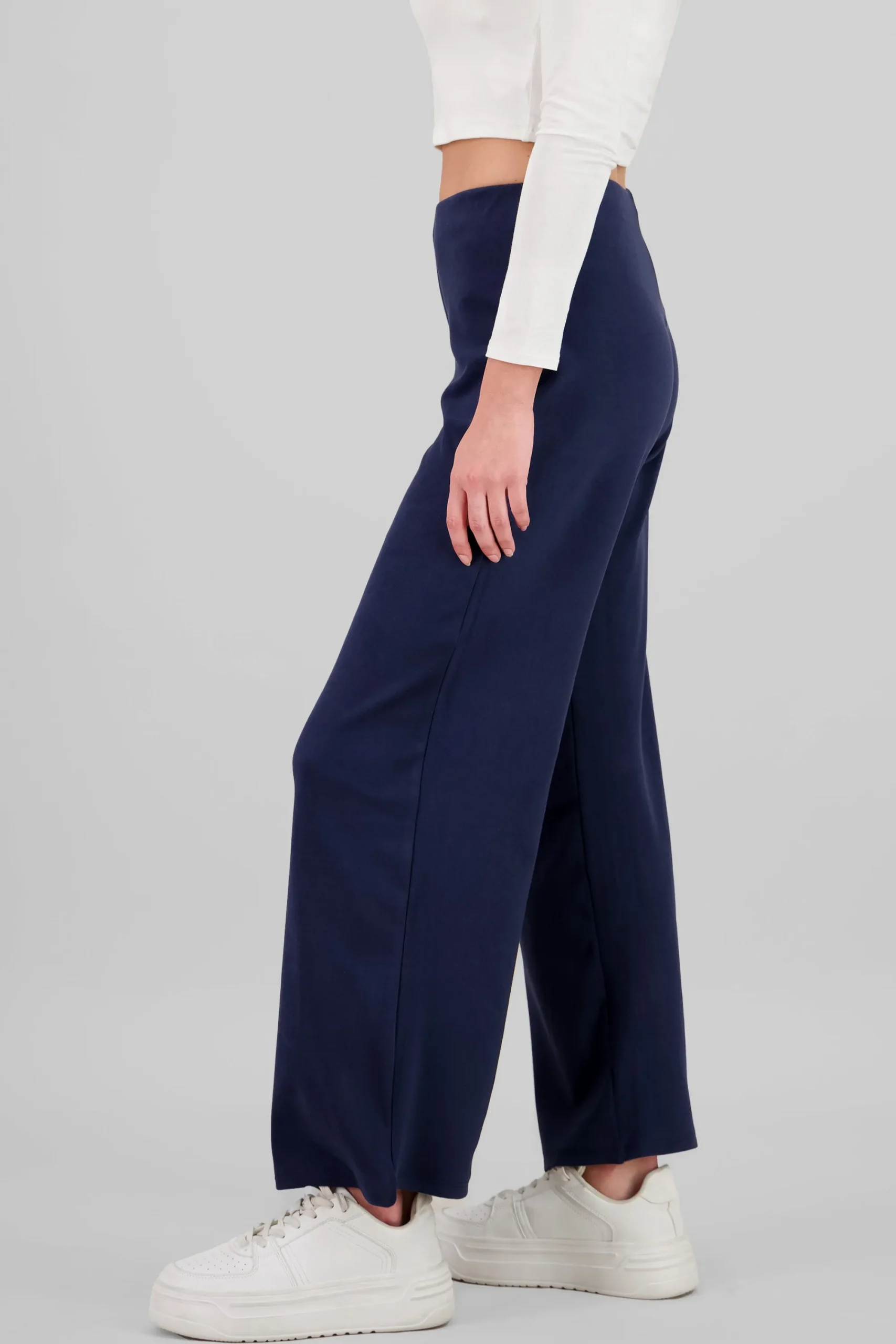 Shasa Wide Leg Solid Pants