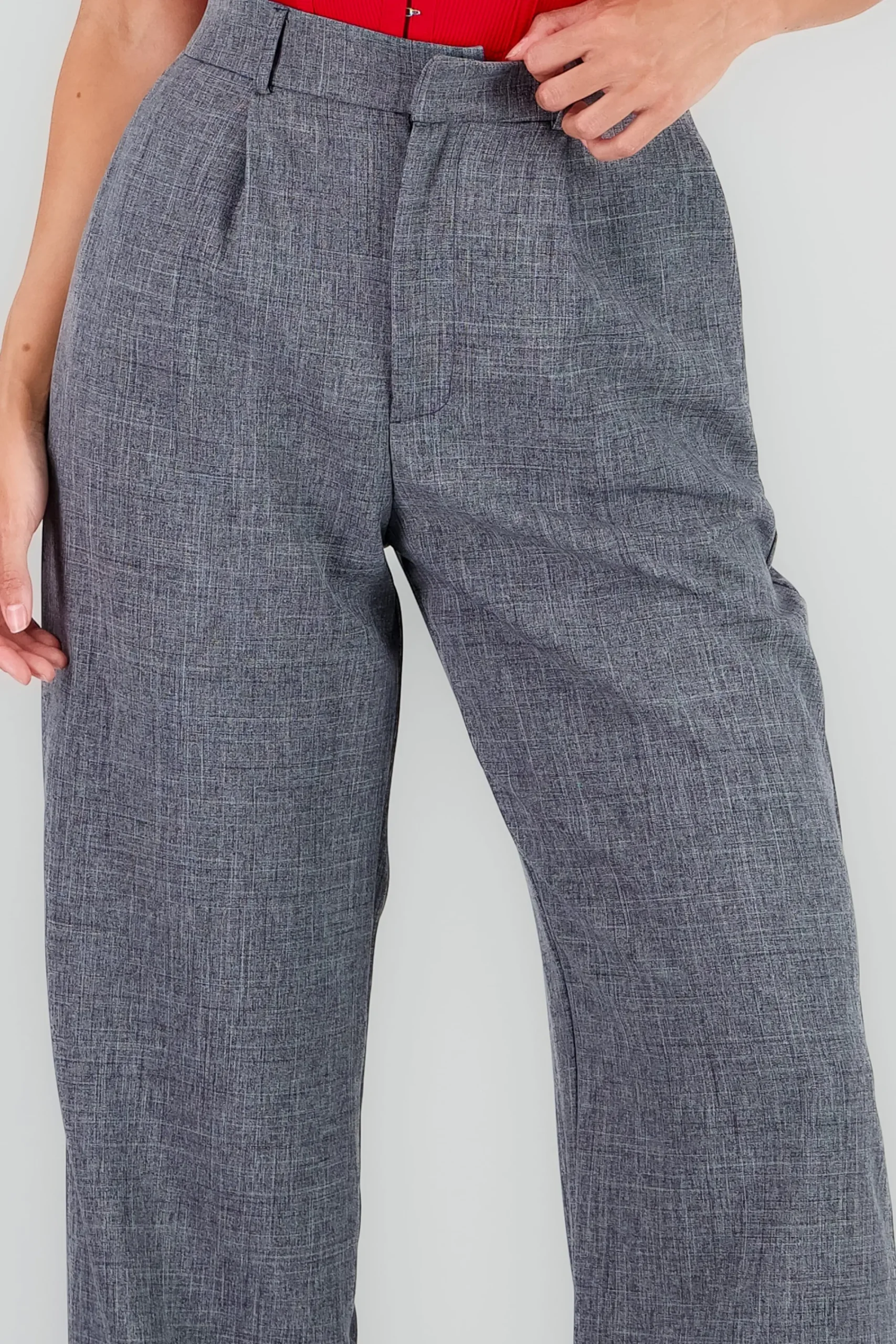 Shasa Wide Pleated Pants