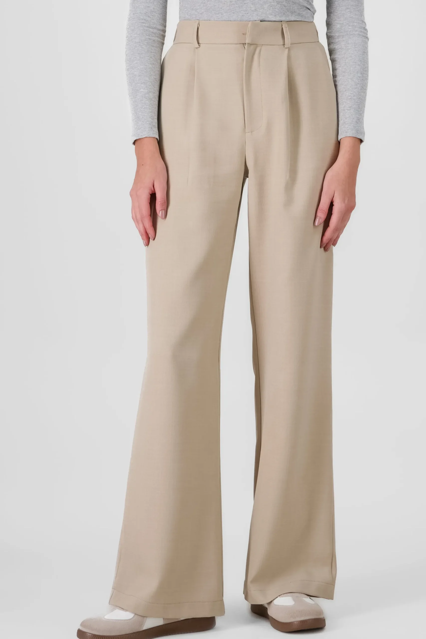 Shasa Wide Pleated Pants