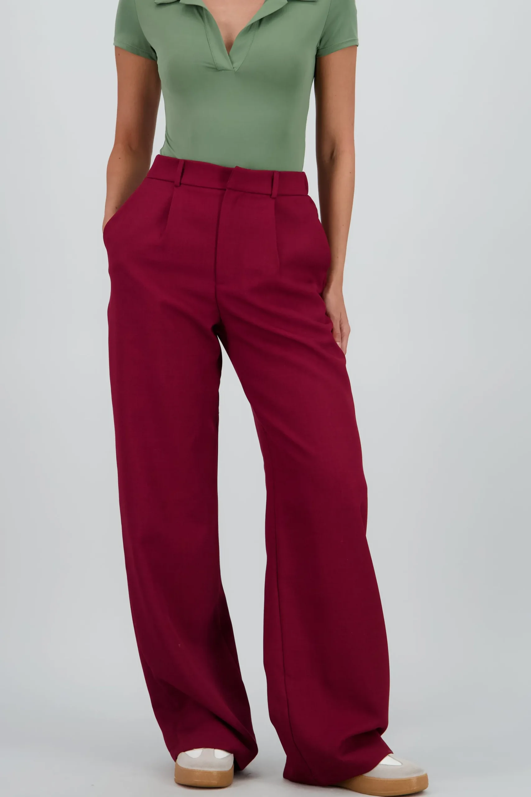 Shasa Wide Pleated Pants